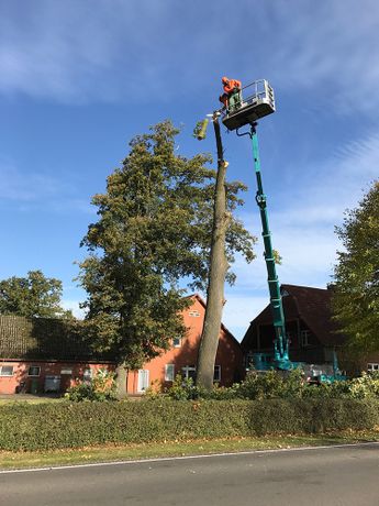Beispielarbeit von Haus- und Hofservice Waclaw Morawski - veröffentlicht auf Gartenbau.org