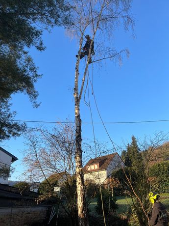 Beispielarbeit von Becker Garten- & Landschaftsbau - veröffentlicht auf Gartenbau.org