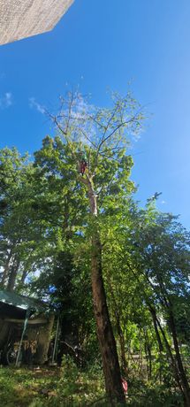 Beispielarbeit von Marcel Koop Gartenpflege UG - veröffentlicht auf Gartenbau.org