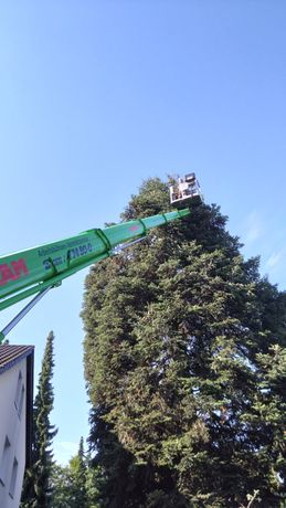 Beispielarbeit von S-O-S Dienstleistungen - veröffentlicht auf Gartenbau.org