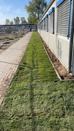 Beispielarbeit von Maxima-Facility Service - veröffentlicht auf Gartenbau.org