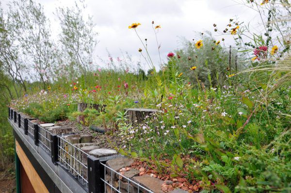 Beispielarbeit von Röver GartenCon GaLaBau naturnah & kreativ - veröffentlicht auf Gartenbau.org