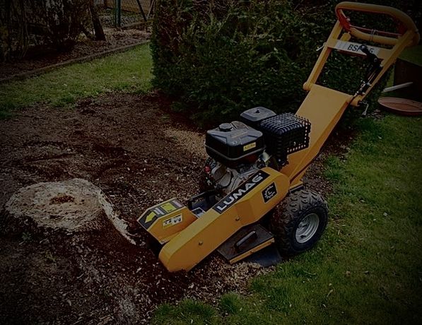 Beispielarbeit von Garten & Baggerarbeiten Felhauer - veröffentlicht auf Gartenbau.org