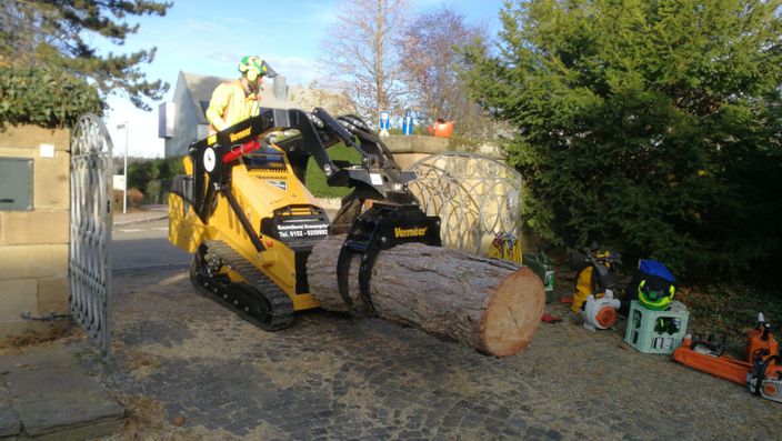 Beispielarbeit von Baumdienst Kronenprinz - veröffentlicht auf Gartenbau.org