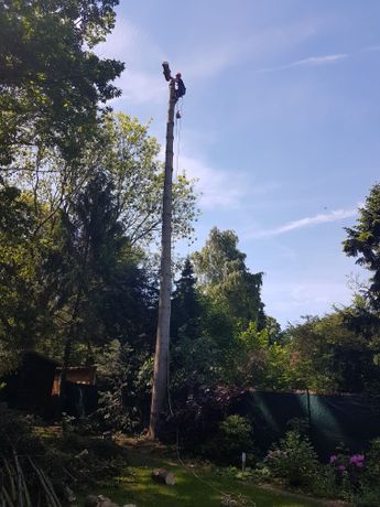 Beispielarbeit von Mentor Sejdija Garten- und Baumpflege - veröffentlicht auf Gartenbau.org