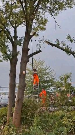 Beispielarbeit von NordGrün - veröffentlicht auf Gartenbau.org