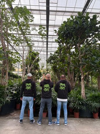 Beispielarbeit von Hydrokultur - Alexander Wissig - veröffentlicht auf Gartenbau.org