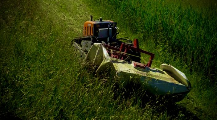 Beispielarbeit von Garten & Baggerarbeiten Felhauer - veröffentlicht auf Gartenbau.org