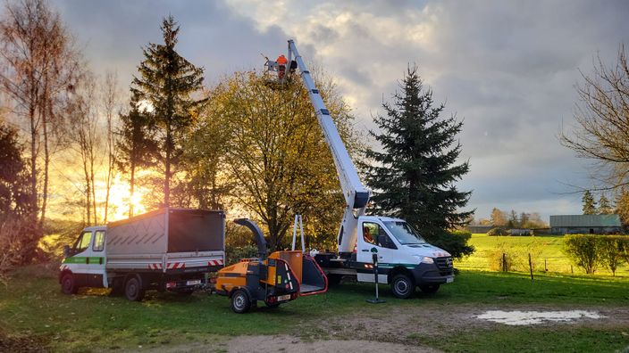 Beispielarbeit von BV Baumpflege Vorpommern GmbH - veröffentlicht auf Gartenbau.org