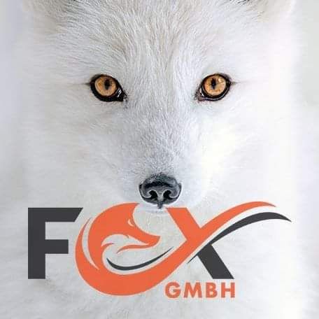 Logo der Firma Fox Malerbetrieb GmbH aus Bestensee auf dem Branchenportal Maler.org