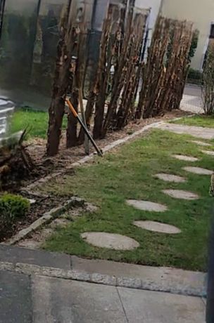 Beispielarbeit von Fix&Fertig Gebäude- und Aussenpflege - veröffentlicht auf Gartenbau.org