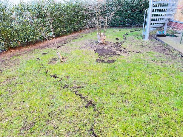 Beispielarbeit von ÖZKÖK DİENSTLEİSTUNGEN - veröffentlicht auf Gartenbau.org