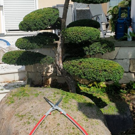 Beispielarbeit von Sinnesgärten Sharon Hudson - veröffentlicht auf Gartenbau.org