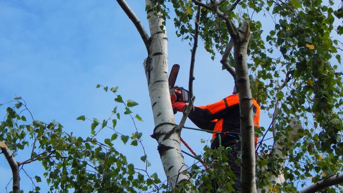 Beispielarbeit von Krastins Gartenbau - veröffentlicht auf Gartenbau.org
