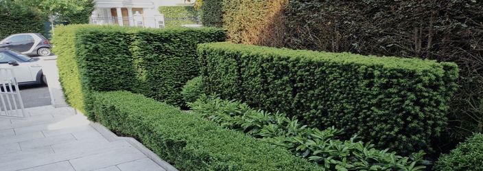 Beispielarbeit von MSM Garten und Landschaft GbR - veröffentlicht auf Gartenbau.org