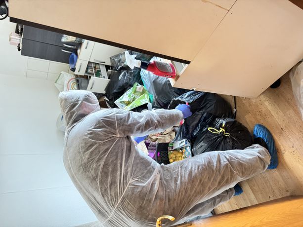 Beispielarbeit von Schädlingsbekämpfung Direkt - veröffentlicht auf Schaedlingsvernichtung.de