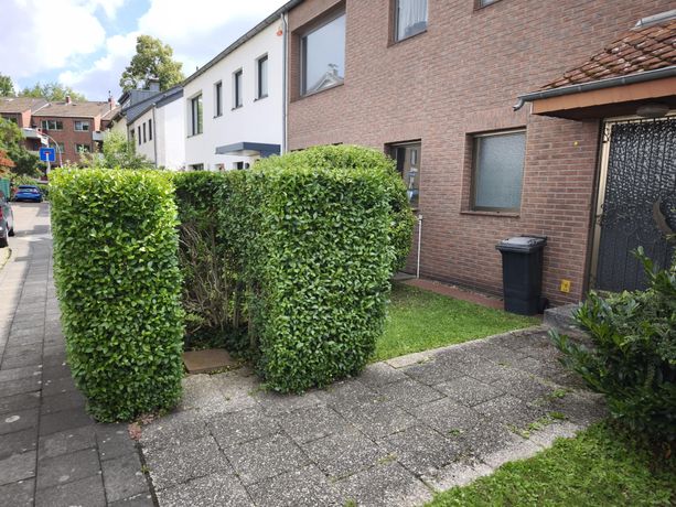 Beispielarbeit von Gartenbarbier - veröffentlicht auf Gartenbau.org
