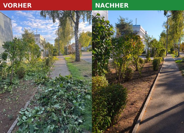 Beispielarbeit von Fischer Reinigungsservice und Dienstleistungs GbR - veröffentlicht auf Gartenbau.org