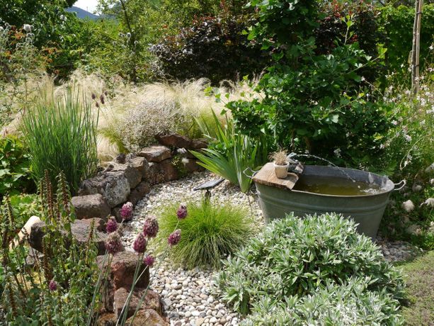 Beispielarbeit von Rau Gartenpflege - veröffentlicht auf Gartenbau.org