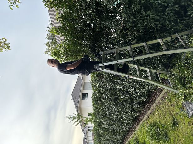 Beispielarbeit von Edgar Khachaturov Hausmeisterdienste - veröffentlicht auf Gartenbau.org