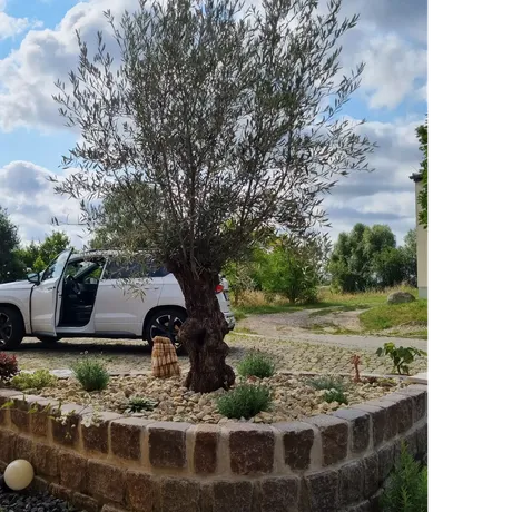 Beispielarbeit von Der SteinBär - Ihr Steinsetzer rund um Panketal und Bernau - veröffentlicht auf Gartenbau.org