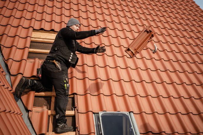 Beispielarbeit von ProElectrify AG - veröffentlicht auf Dachdecker.com