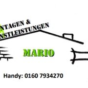 MBD MARIO in Bad Brambach