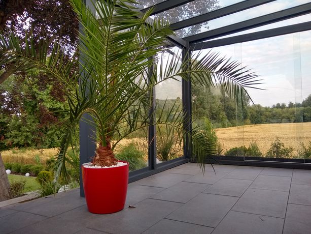 Beispielarbeit von TDS-Systeme Alexander Wirsum - veröffentlicht auf Glaserei.org