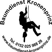 Baumdienst Kronenprinz in Waibstadt