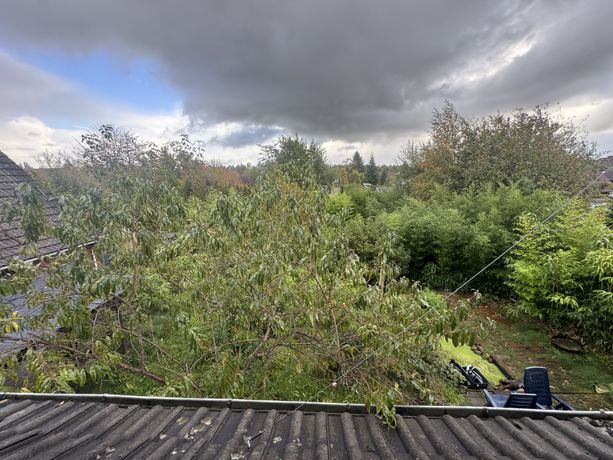 Beispielarbeit von Blitzhelfer Dienstleistungen - veröffentlicht auf Gartenbau.org