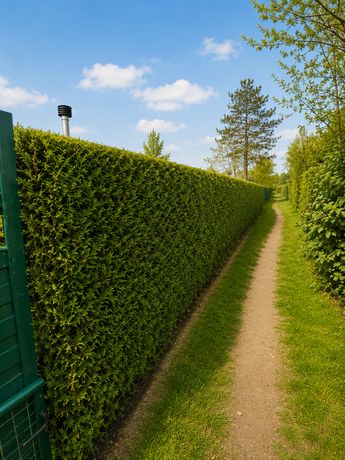 Beispielarbeit von Garten & Hausmeisterservice Sam - veröffentlicht auf Gartenbau.org
