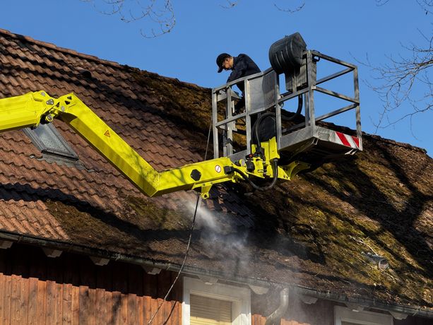 Beispielarbeit von Der Dampfprofi - veröffentlicht auf Hausmeisterdienste.net