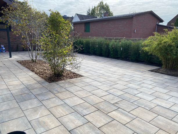 Beispielarbeit von Holstein Pflanzen GmbH - veröffentlicht auf Gartenbau.org