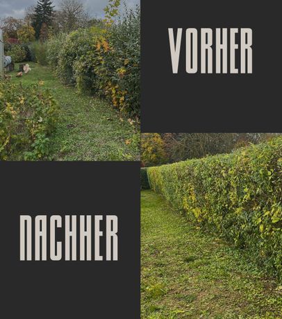 Beispielarbeit von Michel Tony Oliver Hirsch Bauservice M. Hanka - veröffentlicht auf Bauunternehmen.org