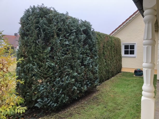 Beispielarbeit von Hausmeisterservice Bayern - veröffentlicht auf Gartenbau.org