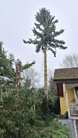 Beispielarbeit von Garten- & Baumpflege - veröffentlicht auf Gartenbau.org