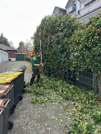 Beispielarbeit von BD&Sohn - veröffentlicht auf Gartenbau.org