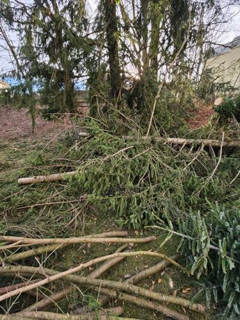 Beispielarbeit von Garten & Baumservice Lerch - veröffentlicht auf Gartenbau.org