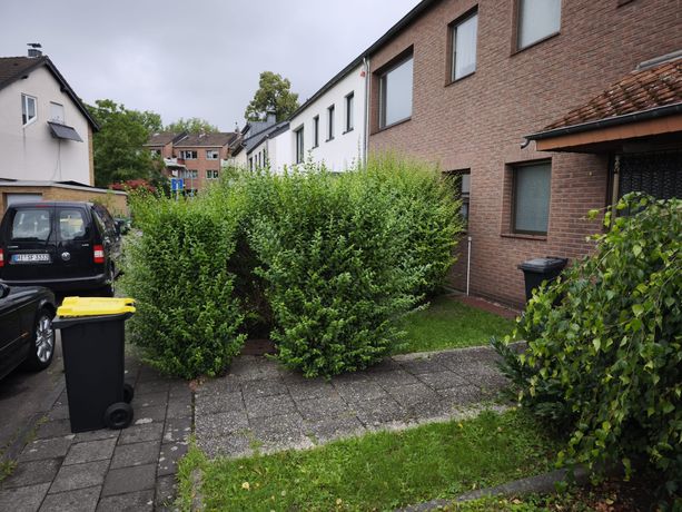Beispielarbeit von Gartenbarbier - veröffentlicht auf Gartenbau.org