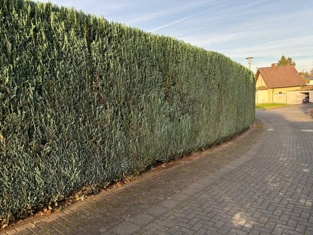 Beispielarbeit von Landschaftspflege & Gartenbau Manuel Alten - veröffentlicht auf Gartenbau.org