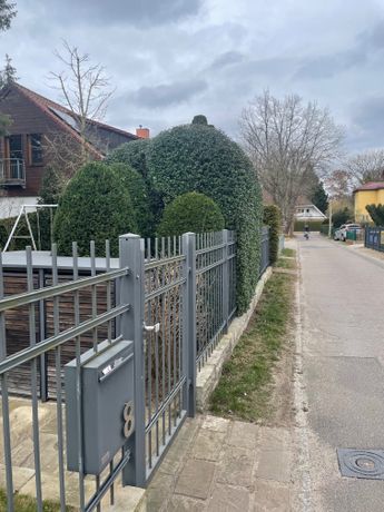 Beispielarbeit von Baum- und Gartenpflege Schifelbein GmbH - veröffentlicht auf Gartenbau.org