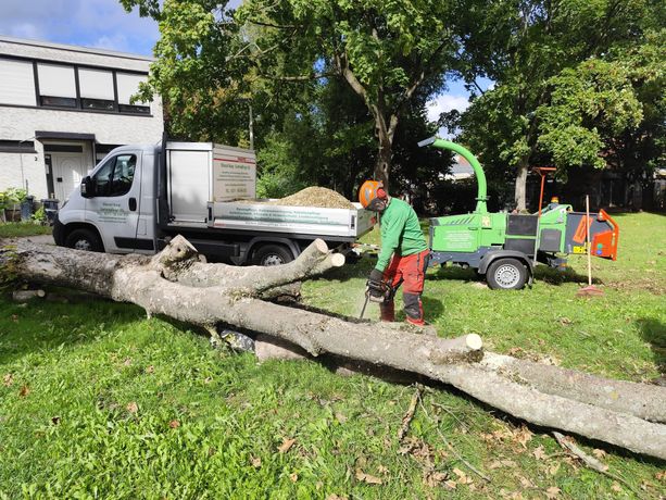 Beispielarbeit von Marcel Koop Gartenpflege UG - veröffentlicht auf Gartenbau.org