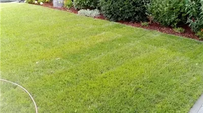 Beispielarbeit von 1A Garten Fink - veröffentlicht auf Gartenbau.org