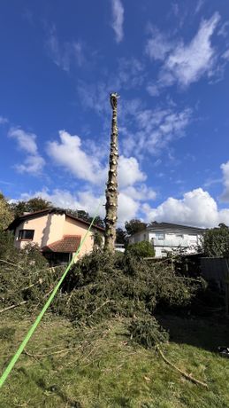 Beispielarbeit von Serghei Tudorean Garten- und Landschaftsbau - veröffentlicht auf Gartenbau.org