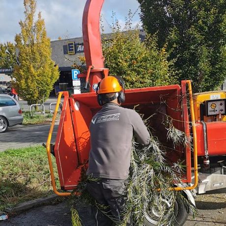 Beispielarbeit von Stems Gebäudeservice GmbH - veröffentlicht auf Gartenbau.org