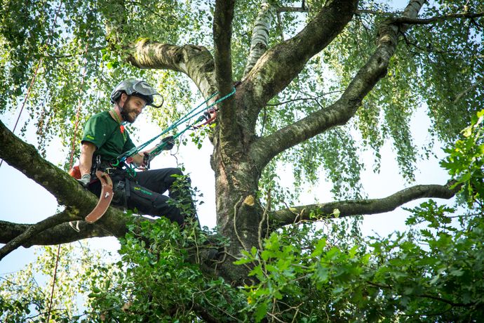 Beispielarbeit von galabauron - Ron Felix Tietz - veröffentlicht auf Gartenbau.org