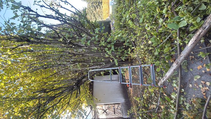 Beispielarbeit von Großartiges Bauunternehmen GmbH - veröffentlicht auf Gartenbau.org