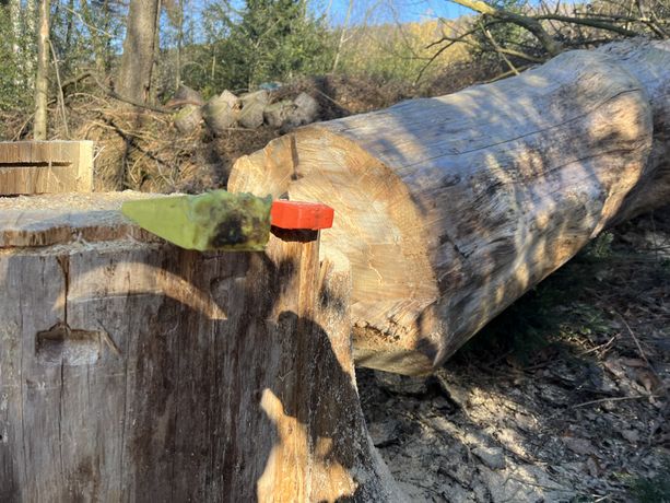 Beispielarbeit von Zündholz Gartenservice GmbH - veröffentlicht auf Gartenbau.org