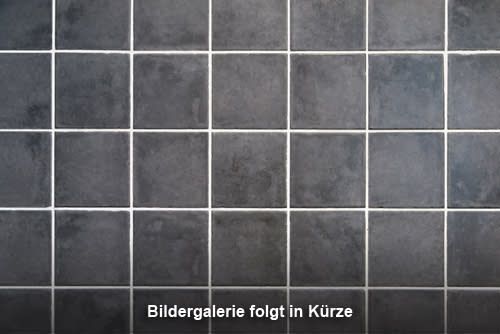 Beispielarbeit von Ihr Fliesenleger Siegmund Schulz - veröffentlicht auf Fliesenleger.net