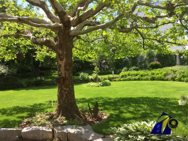 Beispielarbeit von Garten Michel - Michael Kungel - veröffentlicht auf Gartenbau.org